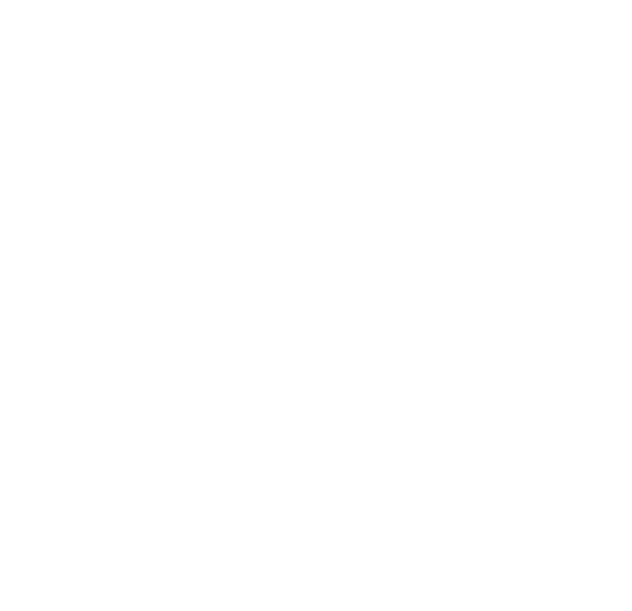 Logo MayoristaPet